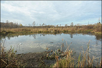 11 октября 2017 г., Барнаул. Екатерина Смолихина   Посёлок с двумя именами: фотопрогулка по бывшему барнаульскому пляжу