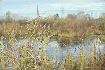 11 октября 2017 г., Барнаул. Екатерина Смолихина   Посёлок с двумя именами: фотопрогулка по бывшему барнаульскому пляжу