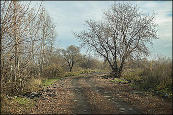 11 октября 2017 г., Барнаул. Екатерина Смолихина   Посёлок с двумя именами: фотопрогулка по бывшему барнаульскому пляжу