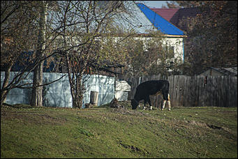 11 октября 2017 г., Барнаул. Екатерина Смолихина   Посёлок с двумя именами: фотопрогулка по бывшему барнаульскому пляжу
