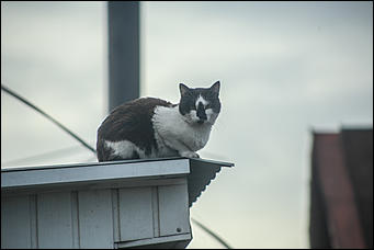 11 октября 2017 г., Барнаул. Екатерина Смолихина   Посёлок с двумя именами: фотопрогулка по бывшему барнаульскому пляжу