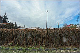 11 октября 2017 г., Барнаул. Екатерина Смолихина   Посёлок с двумя именами: фотопрогулка по бывшему барнаульскому пляжу