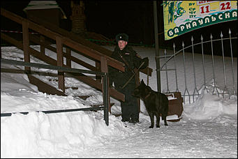 30 декабря 2015 г   Как проходило открытие главной Елки Барнаула