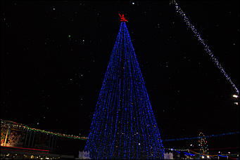 30 декабря 2015 г   Как проходило открытие главной Елки Барнаула