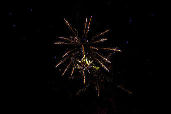 30 декабря 2015 г   Как проходило открытие главной Елки Барнаула