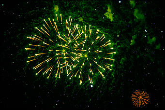 30 декабря 2015 г   Как проходило открытие главной Елки Барнаула