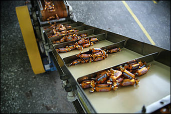 14 декабрь 2017 г., Барнаул. Екатерина Смолихина   Сладкая жизнь: экскурсия на кондитерскую фабрику "Алтай"