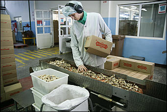 14 декабрь 2017 г., Барнаул. Екатерина Смолихина   Сладкая жизнь: экскурсия на кондитерскую фабрику "Алтай"