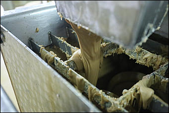 14 декабрь 2017 г., Барнаул. Екатерина Смолихина   Сладкая жизнь: экскурсия на кондитерскую фабрику "Алтай"