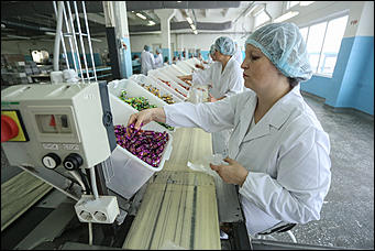 14 декабрь 2017 г., Барнаул. Екатерина Смолихина   Сладкая жизнь: экскурсия на кондитерскую фабрику "Алтай"