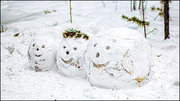 10 февраль 2016 г., Барнаул © Амител Вячеслав Мельников   Что нужно успеть сделать до конца зимы?