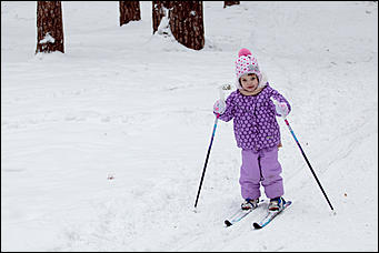 10 февраль 2016 г., Барнаул © Амител Вячеслав Мельников   Что нужно успеть сделать до конца зимы?
