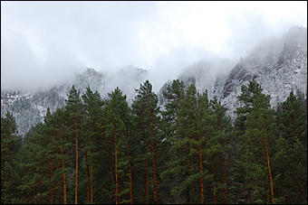 23 мая 2008 г.   Рафтинг на Алтае-2008