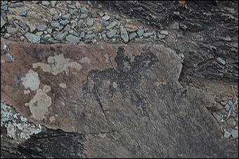 23 мая 2008 г.   Рафтинг на Алтае-2008