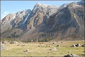 23 мая 2008 г.   Рафтинг на Алтае-2008