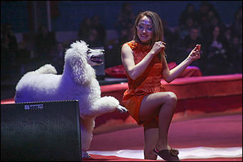 28 декабря 2017 г., Барнаул   Цирк, да и только: в Барнауле состоялась премьера новогоднего циркового шоу