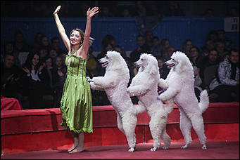 28 декабря 2017 г., Барнаул   Цирк, да и только: в Барнауле состоялась премьера новогоднего циркового шоу