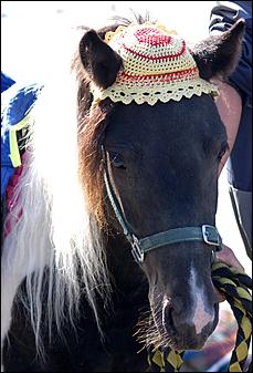 15 сентября 2007 г., Барнаул   Барнаул праздничный (фото Кристины Красниковой)