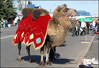 15 сентября 2007 г., Барнаул   Барнаул праздничный (фото Кристины Красниковой)