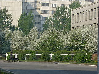 16 мая 2008 г., Барнаул   "Город сад"