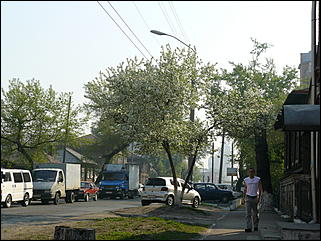 16 мая 2008 г., Барнаул   "Город сад"