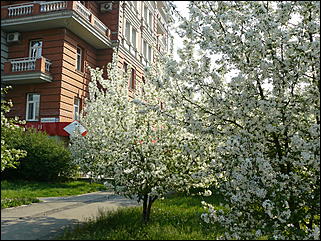 16 мая 2008 г., Барнаул   "Город сад"