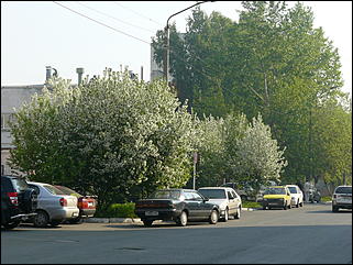 16 мая 2008 г., Барнаул   "Город сад"