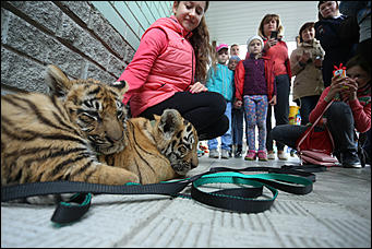 9 сентября 2018 г., Барнаул. Екатерина Смолихина   Единый день голосования и День города: фоторепортаж с 9 сентября в Барнауле