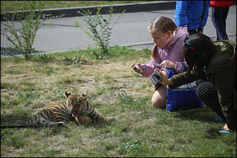 9 сентября 2018 г., Барнаул. Екатерина Смолихина   Единый день голосования и День города: фоторепортаж с 9 сентября в Барнауле