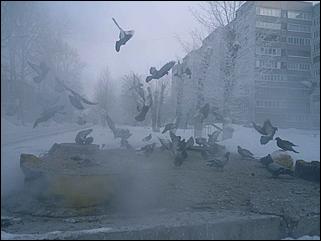    - 30˚С: "замороженный" Барнаул