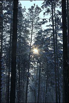    - 30˚С: "замороженный" Барнаул