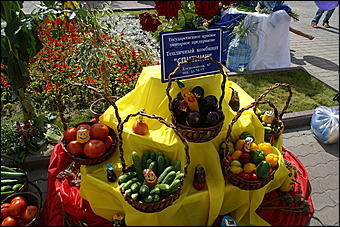 23 августа 2009 г., Барнаул   Праздник цветов и парад невест в Барнауле