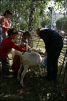 23 августа 2009 г., Барнаул   Праздник цветов и парад невест в Барнауле