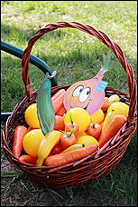 13 май 2017 г. Барнаул   Открытие дачного сезона с Радио Дача Барнаул