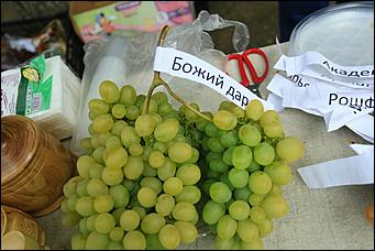 11 сентября 2021 г., Барнаул. Екатерина Смолихина   Без салюта, но с креветками и деревом дружбы. Как Барнаул отметил свой 291-й день рождения