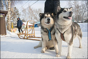 18 ноябрь 2016 г., Барнаул   Как алтайский Дед Мороз отпраздновал день рождения. Фоторепортаж