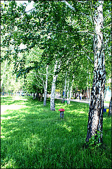 21 июня 2007 г., Барнаул   В детских загородных лагерях Барнаула начался летний сезон