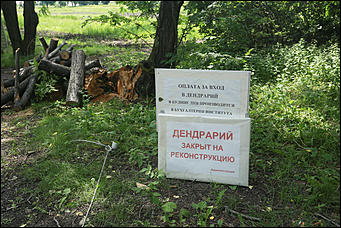 28 июня 2018 г., Барнаул. Екатерина Смолихина   Сломленный: барнаульский дендрарий после жуткого шторма