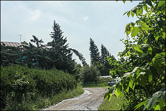 28 июня 2018 г., Барнаул. Екатерина Смолихина   Сломленный: барнаульский дендрарий после жуткого шторма