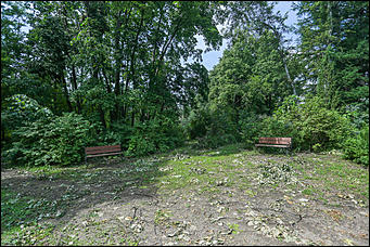 28 июня 2018 г., Барнаул. Екатерина Смолихина   Сломленный: барнаульский дендрарий после жуткого шторма