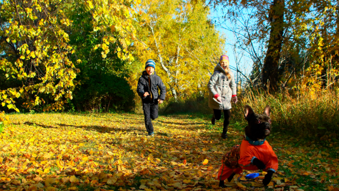 27 сентябрь 2016 г., Барнаул &copy; Амител Вячеслав Мельников   Сказочные чертоги: осень в барнаульском дендрарии
