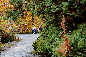 27 сентябрь 2016 г., Барнаул © Амител Вячеслав Мельников   Сказочные чертоги: осень в барнаульском дендрарии
