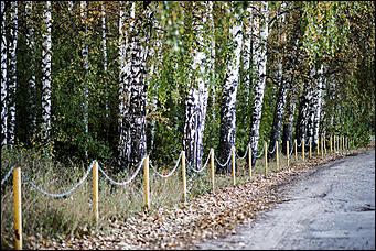 27 сентябрь 2016 г., Барнаул © Амител Вячеслав Мельников   Сказочные чертоги: осень в барнаульском дендрарии