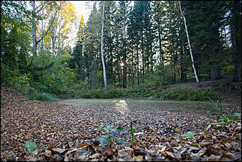 27 сентябрь 2016 г., Барнаул © Амител Вячеслав Мельников   Сказочные чертоги: осень в барнаульском дендрарии