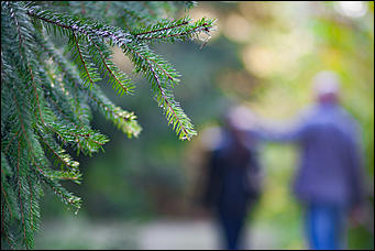 27 сентябрь 2016 г., Барнаул © Амител Вячеслав Мельников   Сказочные чертоги: осень в барнаульском дендрарии