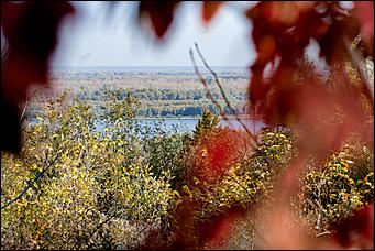 27 сентябрь 2016 г., Барнаул © Амител Вячеслав Мельников   Сказочные чертоги: осень в барнаульском дендрарии