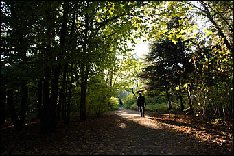 27 сентябрь 2016 г., Барнаул © Амител Вячеслав Мельников   Сказочные чертоги: осень в барнаульском дендрарии