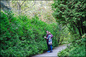 27 сентябрь 2016 г., Барнаул © Амител Вячеслав Мельников   Сказочные чертоги: осень в барнаульском дендрарии