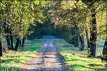27 сентябрь 2016 г., Барнаул © Амител Вячеслав Мельников   Сказочные чертоги: осень в барнаульском дендрарии