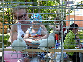 1 июнь 2012 г., Барнаул   День защиты детей в Барнауле